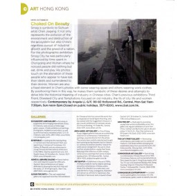 Smog Ciy Exhibition - Chen Jiagang, Where Hong Kong, Oct 2009, p.24